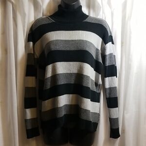 Striped Cotton Ribknit Turtleneck Sweater